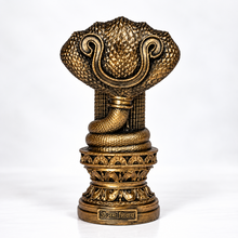 Golden Panchmukhi Naag Shivling rear view